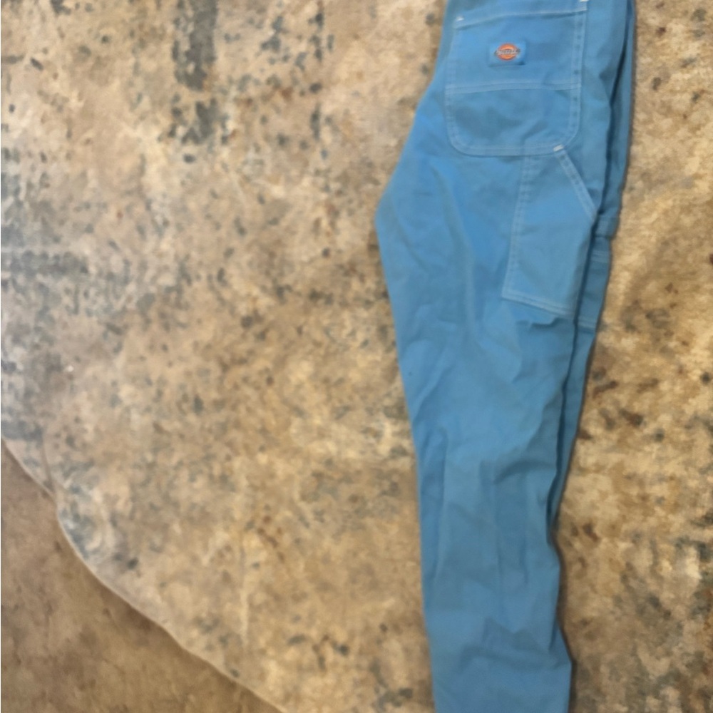 Dickies Cargo Pants in Blue